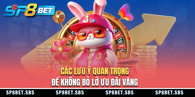 Các lưu ý khi tham gia khuyến mãi SP8BET